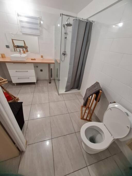 Chalet Des Laves سانت روز المظهر الخارجي الصورة